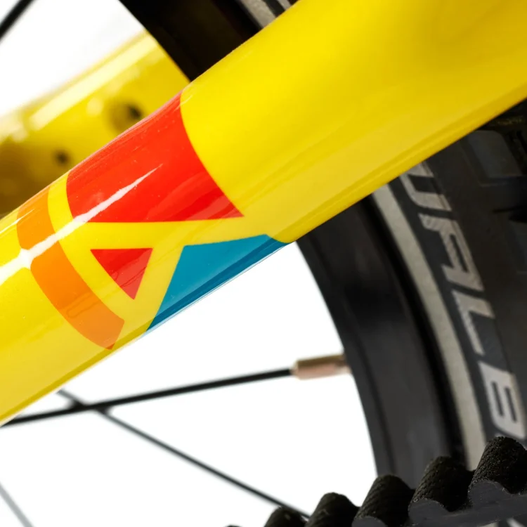 ACADEMY GRADE 2 BELT 14