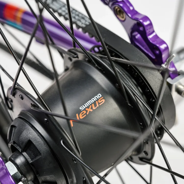 ACADEMY GRADE 5 BELT 24