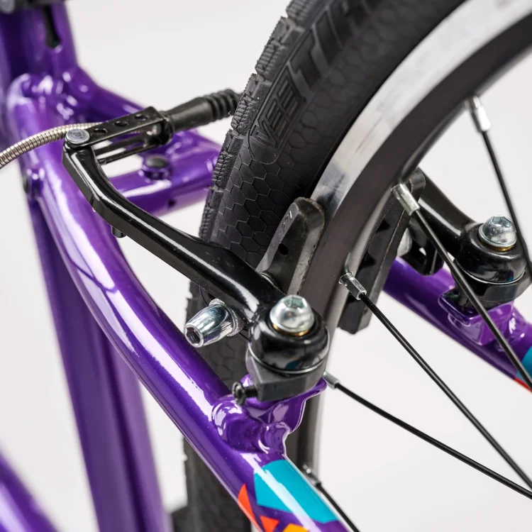 ACADEMY GRADE 5 BELT 24