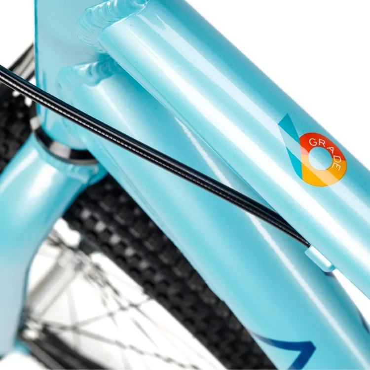 ACADEMY GRADE 6 BELT 26