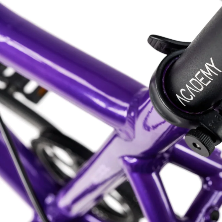 ACADEMY GRADE 6 BELT 26