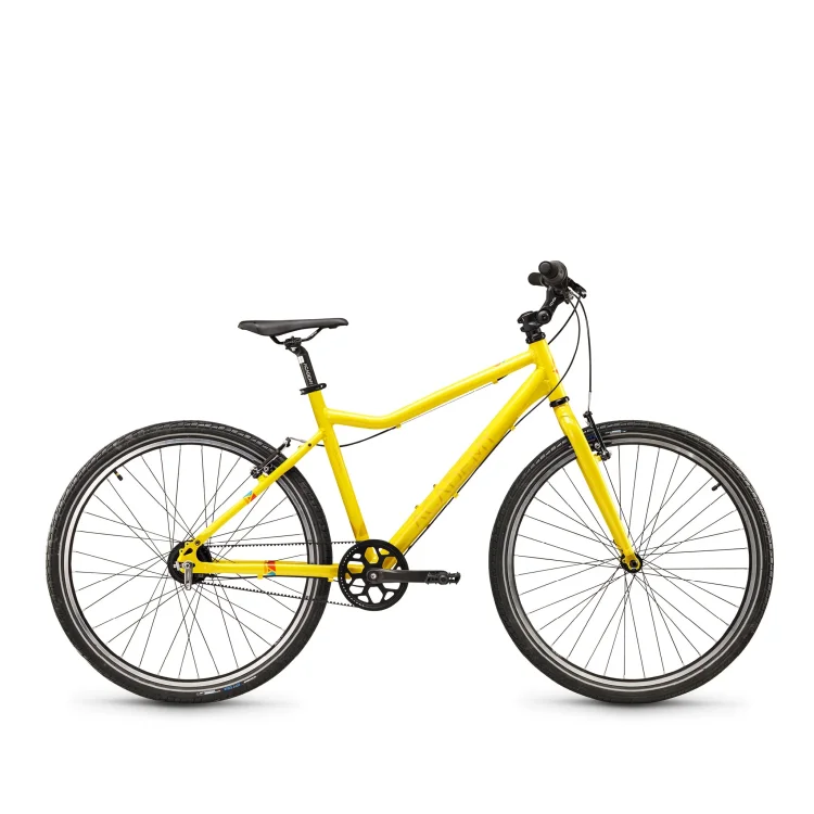 ACADEMY GRADE 6 BELT 26