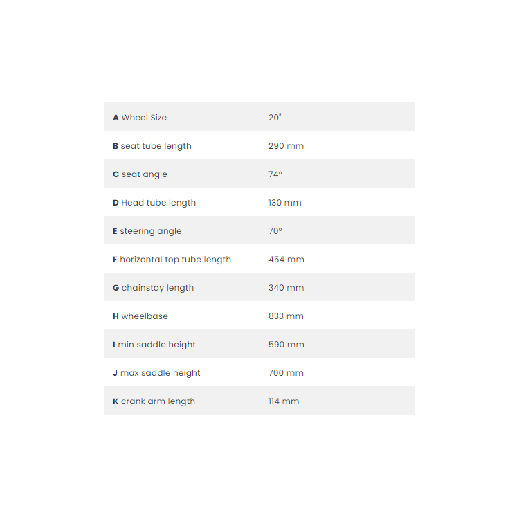 ACADEMY GRADE 4 BELT 20